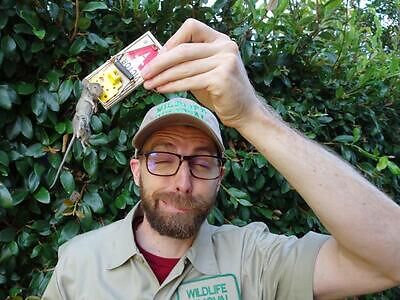 Oakland pest control