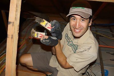 rodent trapping